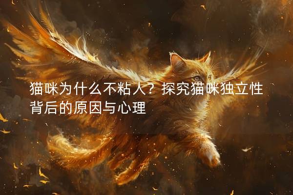 猫咪为什么不粘人？探究猫咪独立性背后的原因与心理