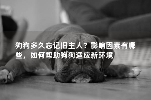 狗狗多久忘记旧主人？影响因素有哪些，如何帮助狗狗适应新环境