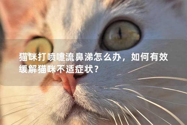 猫咪打喷嚏流鼻涕怎么办，如何有效缓解猫咪不适症状？