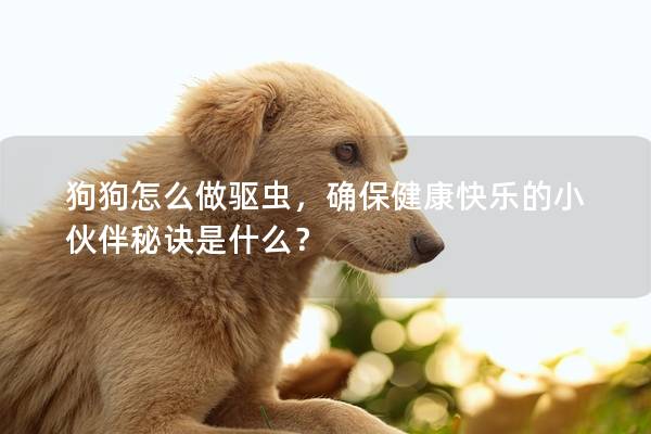 狗狗怎么做驱虫，确保健康快乐的小伙伴秘诀是什么？