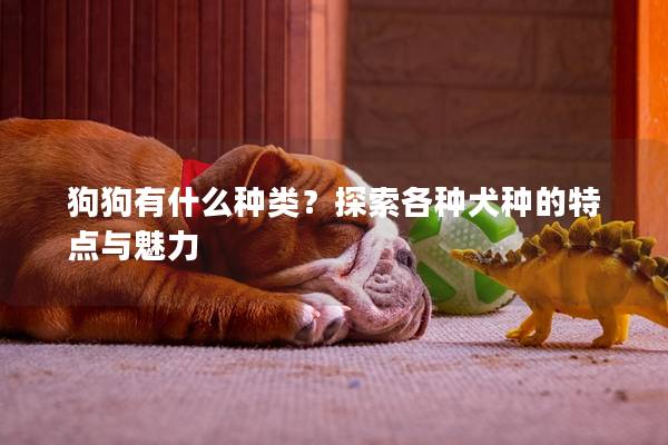 狗狗有什么种类？探索各种犬种的特点与魅力