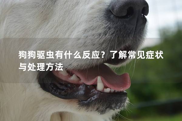 狗狗驱虫有什么反应？了解常见症状与处理方法