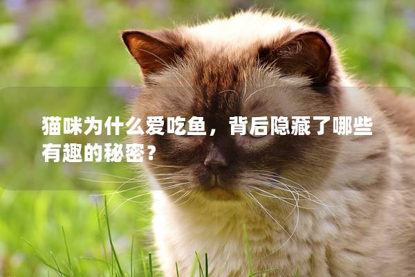 猫咪为什么爱吃鱼，背后隐藏了哪些有趣的秘密？