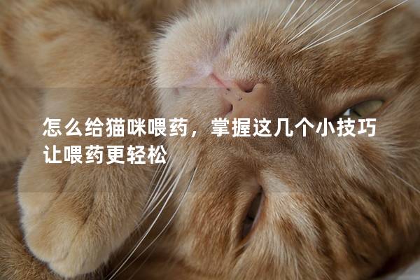 怎么给猫咪喂药，掌握这几个小技巧让喂药更轻松