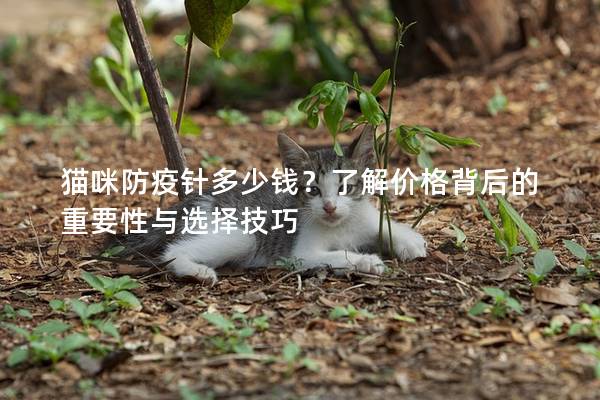 猫咪防疫针多少钱？了解价格背后的重要性与选择技巧