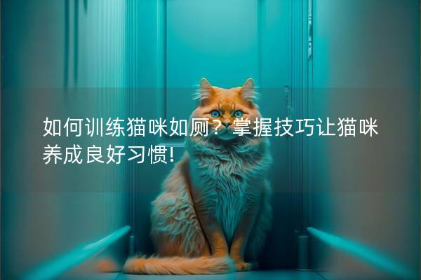 如何训练猫咪如厕？掌握技巧让猫咪养成良好习惯!