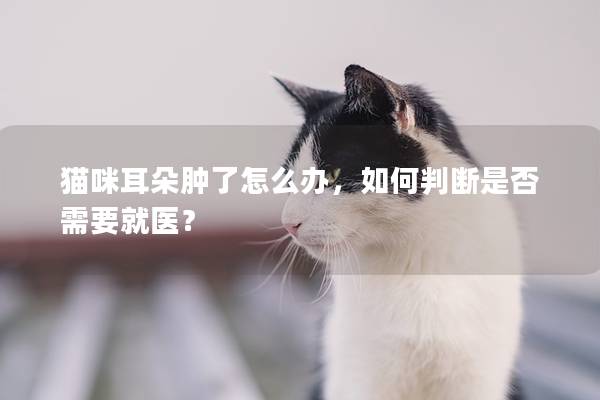 猫咪耳朵肿了怎么办，如何判断是否需要就医？