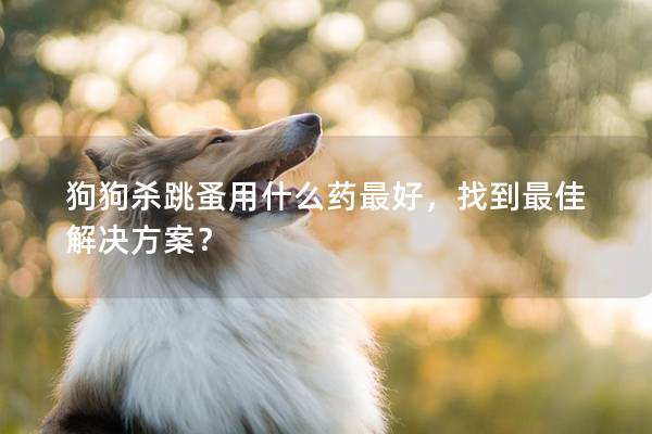 狗狗杀跳蚤用什么药最好，找到最佳解决方案？