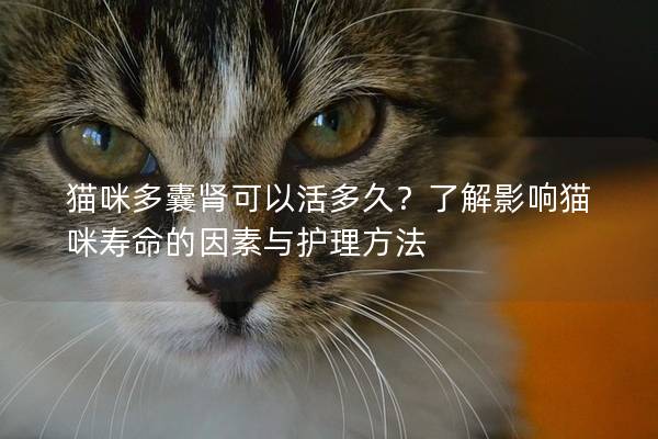 猫咪多囊肾可以活多久？了解影响猫咪寿命的因素与护理方法