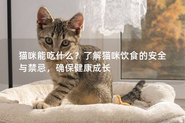 猫咪能吃什么？了解猫咪饮食的安全与禁忌，确保健康成长