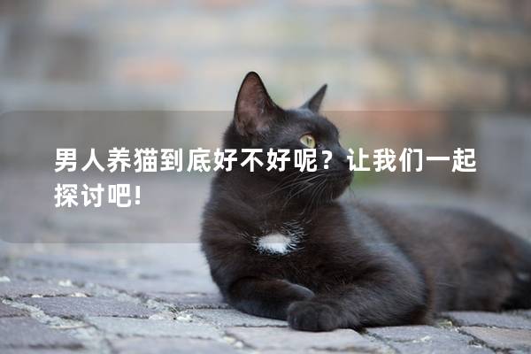 男人养猫到底好不好呢？让我们一起探讨吧!