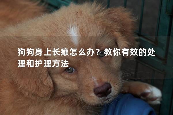 狗狗身上长癞怎么办？教你有效的处理和护理方法