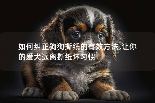 如何纠正狗狗撕纸的有效方法,让你的爱犬远离撕纸坏习惯