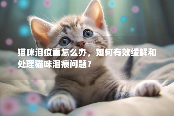 猫咪泪痕重怎么办，如何有效缓解和处理猫咪泪痕问题？