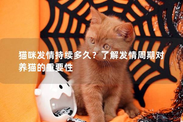 猫咪发情持续多久？了解发情周期对养猫的重要性