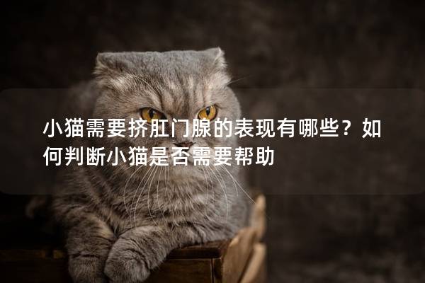 小猫需要挤肛门腺的表现有哪些？如何判断小猫是否需要帮助