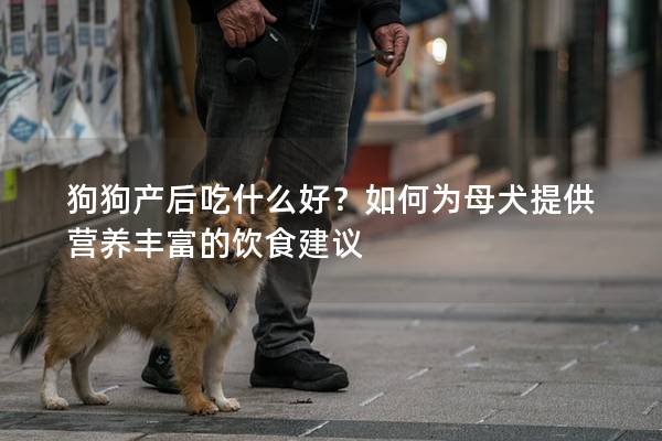 狗狗产后吃什么好？如何为母犬提供营养丰富的饮食建议