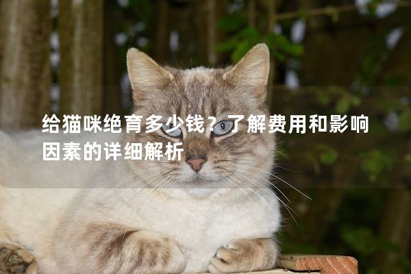 给猫咪绝育多少钱？了解费用和影响因素的详细解析