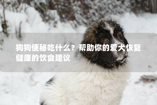 狗狗便秘吃什么？帮助你的爱犬恢复健康的饮食建议