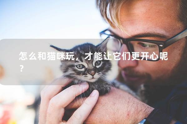 怎么和猫咪玩，才能让它们更开心呢？