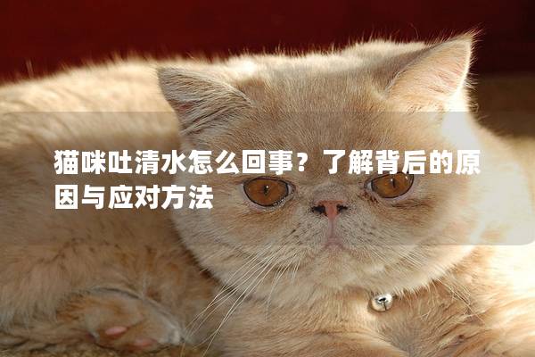 猫咪吐清水怎么回事？了解背后的原因与应对方法