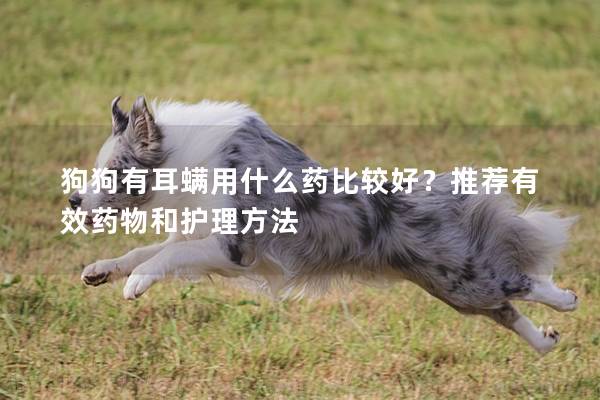 狗狗有耳螨用什么药比较好？推荐有效药物和护理方法