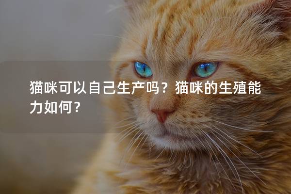 猫咪可以自己生产吗？猫咪的生殖能力如何？