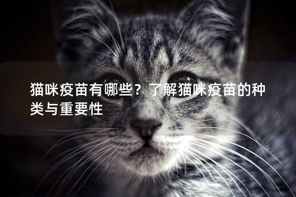 猫咪疫苗有哪些？了解猫咪疫苗的种类与重要性