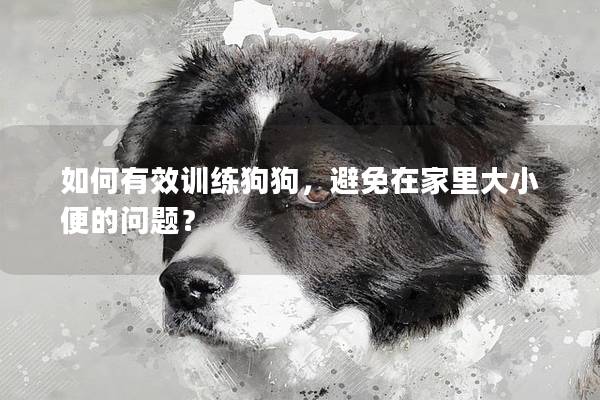 如何有效训练狗狗,避免在家里大小便的问题? 如何有效训练狗狗,避免在家里大小便的问题?