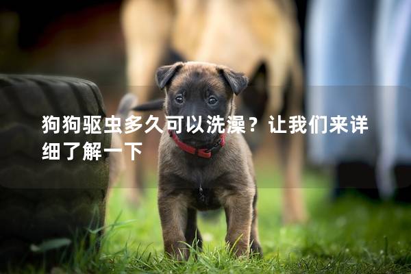 狗狗驱虫多久可以洗澡？让我们来详细了解一下