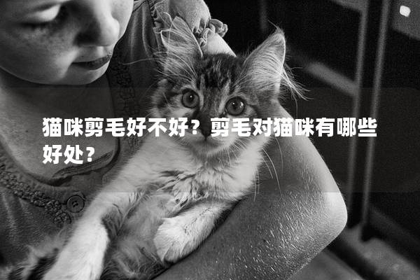 猫咪剪毛好不好？剪毛对猫咪有哪些好处？