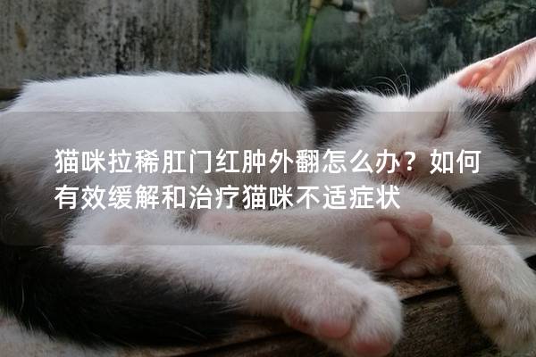 猫咪拉稀肛门红肿外翻怎么办？如何有效缓解和治疗猫咪不适症状