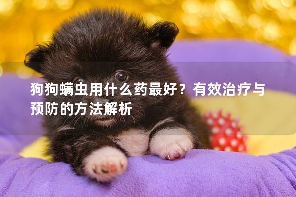 狗狗螨虫用什么药最好？有效治疗与预防的方法解析