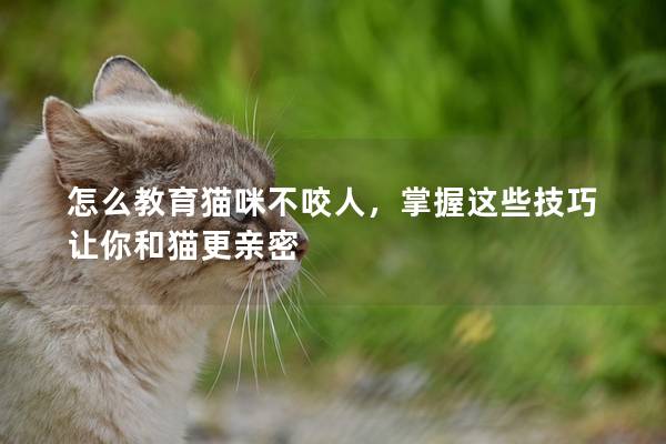 怎么教育猫咪不咬人，掌握这些技巧让你和猫更亲密