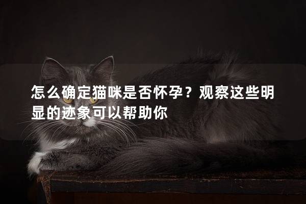 怎么确定猫咪是否怀孕？观察这些明显的迹象可以帮助你