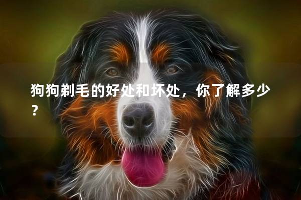 狗狗剃毛的好处和坏处，你了解多少？