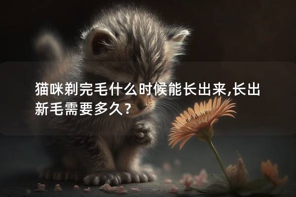 猫咪剃完毛什么时候能长出来,长出新毛需要多久？