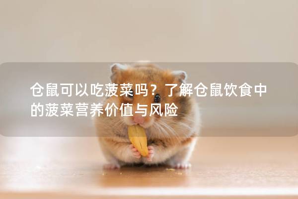 仓鼠可以吃菠菜吗?了解仓鼠饮食中的菠菜营养价值与风险 仓鼠可以吃菠菜吗?了解仓鼠饮食中的菠菜营养价值与风险