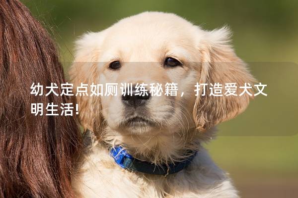 幼犬定点如厕训练秘籍，打造爱犬文明生活!