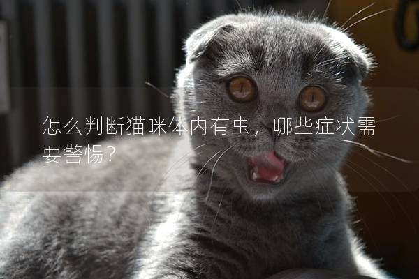 怎么判断猫咪体内有虫，哪些症状需要警惕？