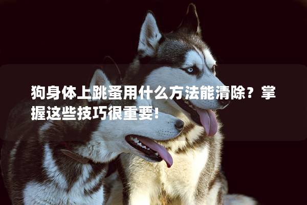 狗身体上跳蚤用什么方法能清除？掌握这些技巧很重要!