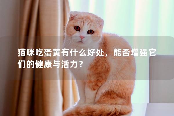 猫咪吃蛋黄有什么好处，能否增强它们的健康与活力？