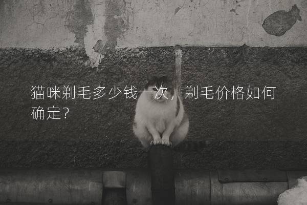 猫咪剃毛多少钱一次，剃毛价格如何确定？