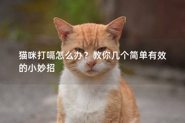 猫咪打嗝怎么办？教你几个简单有效的小妙招