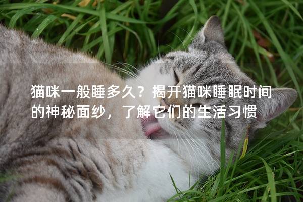 猫咪一般睡多久？揭开猫咪睡眠时间的神秘面纱，了解它们的生活习惯