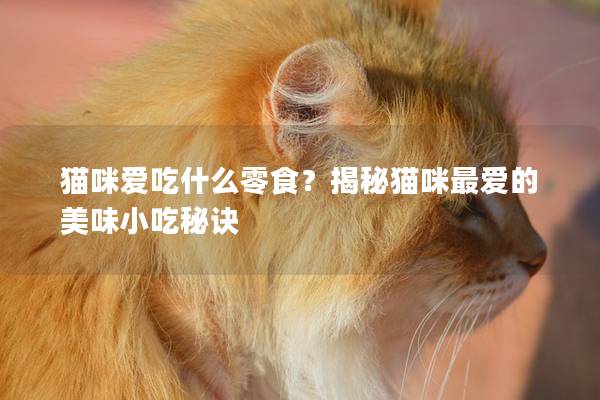 猫咪爱吃什么零食？揭秘猫咪最爱的美味小吃秘诀