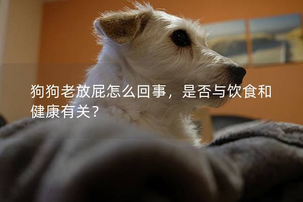 狗狗老放屁怎么回事，是否与饮食和健康有关？