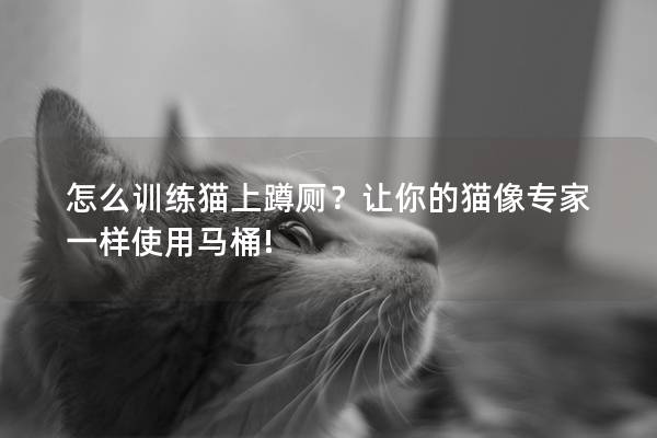 怎么训练猫上蹲厕？让你的猫像专家一样使用马桶!