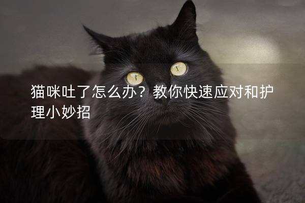 猫咪吐了怎么办？教你快速应对和护理小妙招