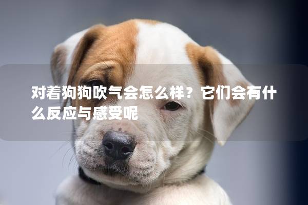 对着狗狗吹气会怎么样？它们会有什么反应与感受呢